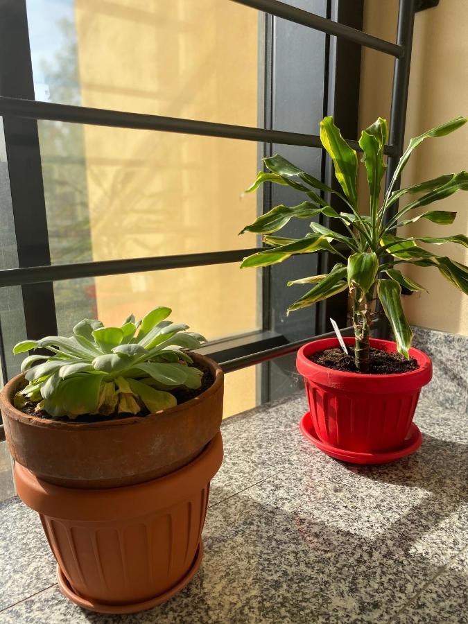 Appartamento Eliana 아스티 외부 사진